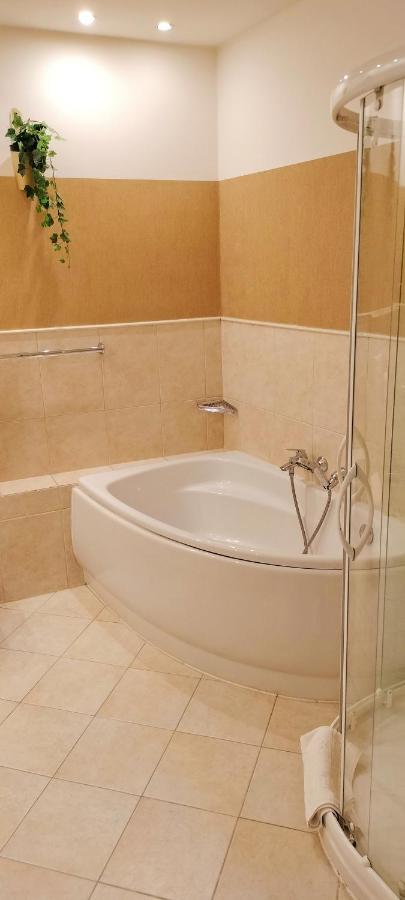 Hotel apartamentowy Great Polonia Old Town Kraków